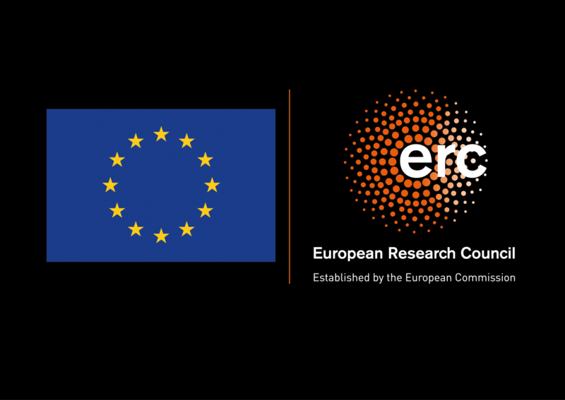 logo erc flag eu negatif